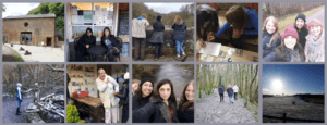 Collage of different changemaker residentials featuring diverse women